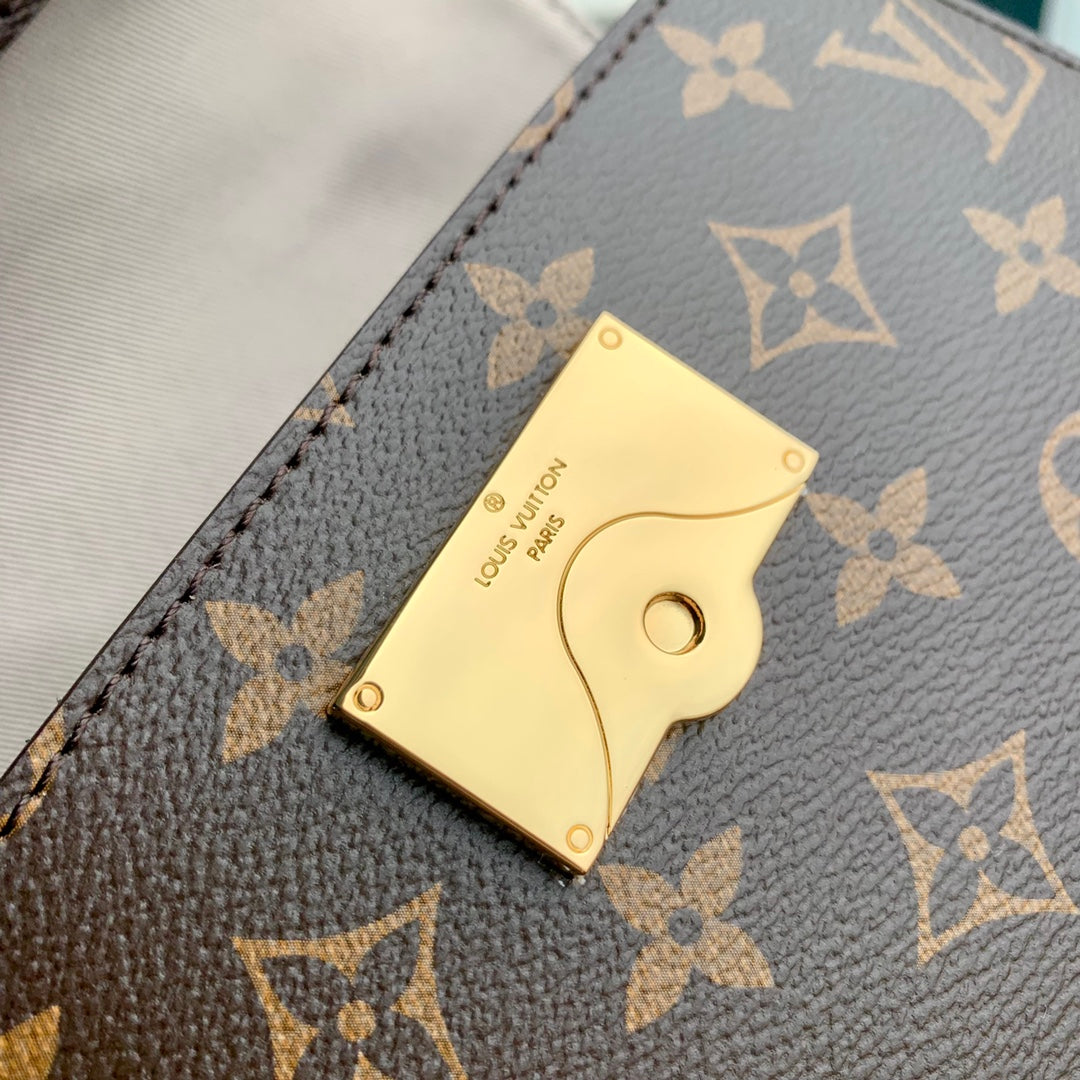 LOUIS VUITTON CLUNY MINI 20 IN BROWN MONOGRAM CANVAS