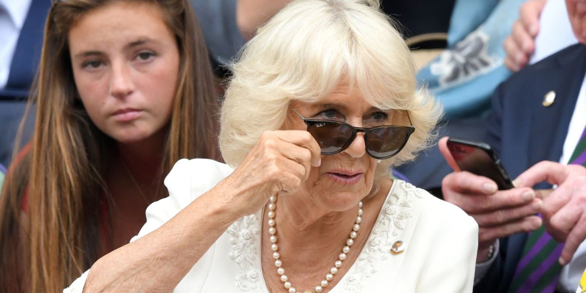 Ray-Ban Erika RB 4171 710/T5 Polarised - As Seen On Tom Felton & Queen Camilla