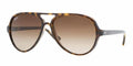 Ray-Ban Cats 5000 RB 4125 710/51 - As Seen On Liam Gallagher