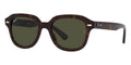 Ray-Ban Erik RB 4398 902/31