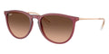 Ray-Ban Erika RB 4171 6815/A5