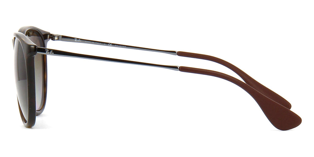 Ray-Ban Erika RB 4171 710/T5 Polarised - As Seen On Tom Felton & Queen Camilla