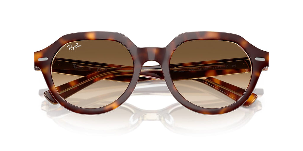 Ray-Ban Gina RB 4399 1414/51