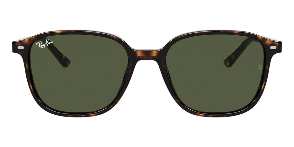 Ray-Ban Leonard RB 2193 902/31
