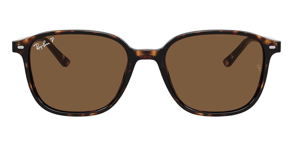 Ray-Ban Leonard RB 2193 902/57 Polarised
