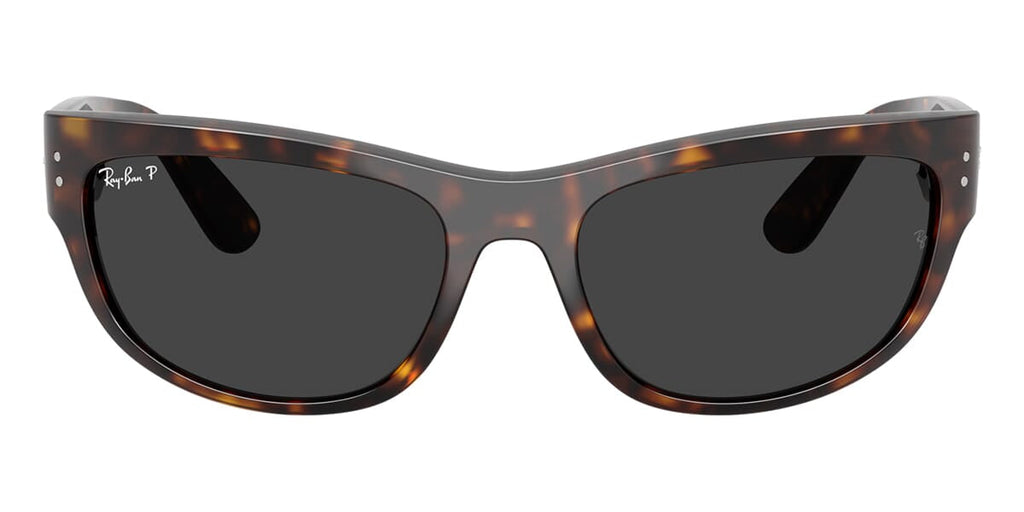 Ray-Ban Mega Balorama RB 2289 902/48 Polarised