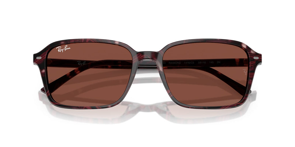 Ray-Ban Raimond RB 2231 1416/C5