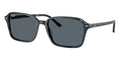 Ray-Ban Raimond RB 2231 1417/R5