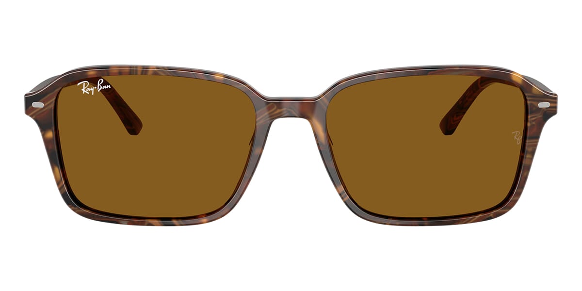 Ray-Ban Raimond RB 2231 1418/33 - As Seen On Alex Warren