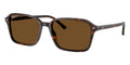 Ray-Ban Raimond RB 2231 902/57