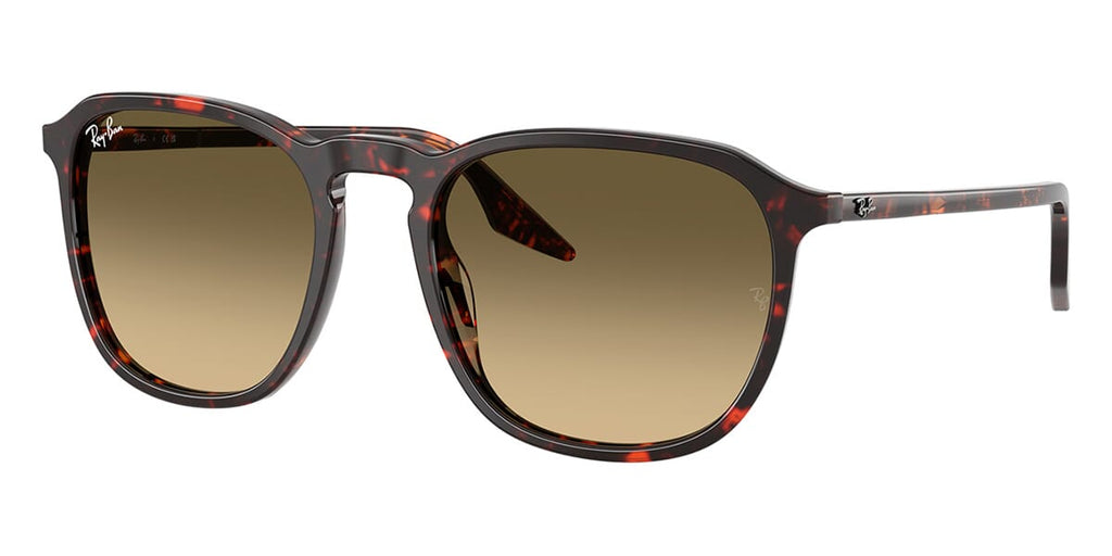 Ray-Ban RB 2203 1429/0A