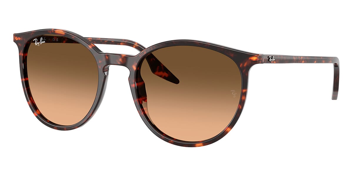 Ray-Ban RB 2204 1429/3B