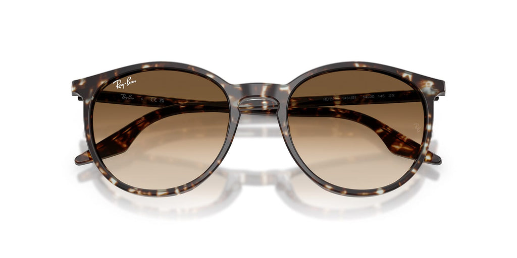 Ray-Ban RB 2204 1431/51