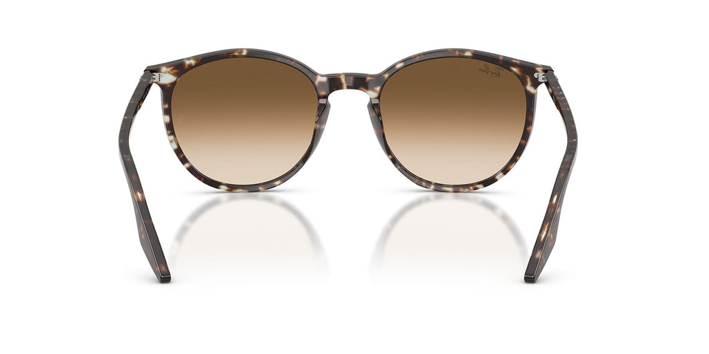 Ray-Ban RB 2204 1431/51