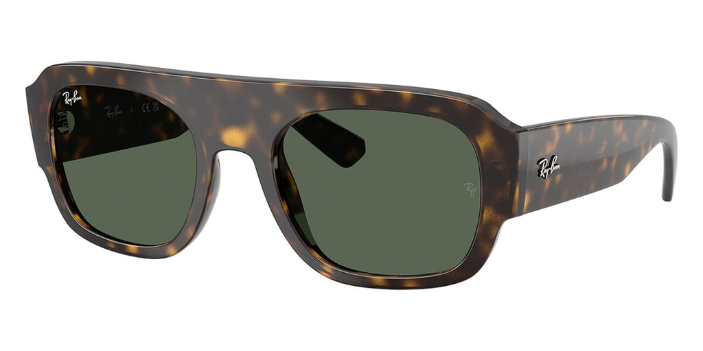 Ray-Ban RB 2218 6790/71