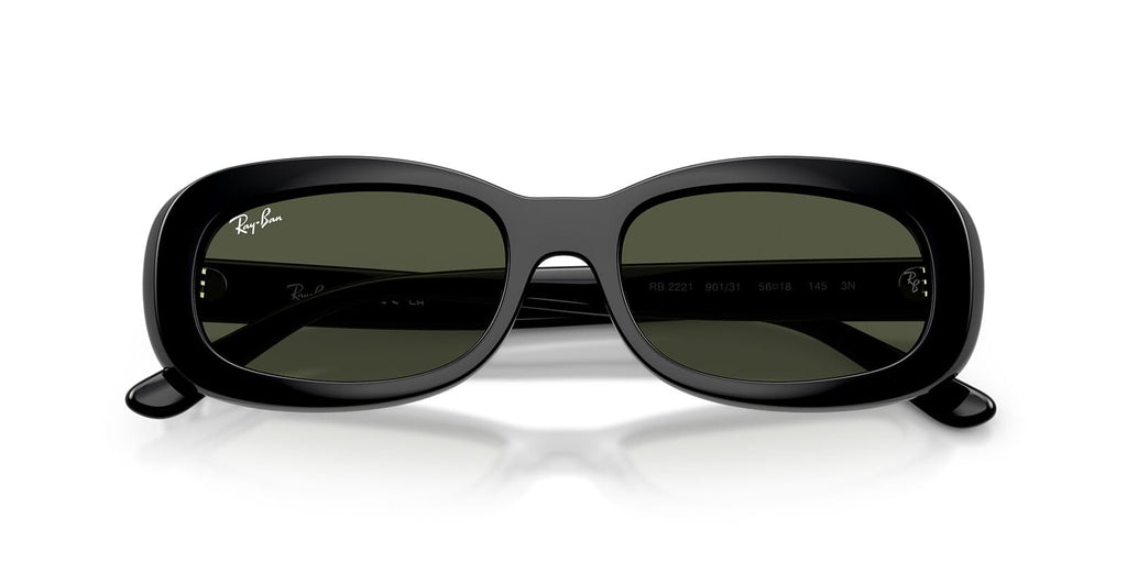 Ray-Ban RB 2221 901/31