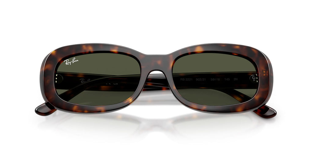 Ray-Ban RB 2221 902/31