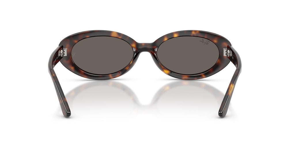 Ray-Ban RB 2223 902/B1