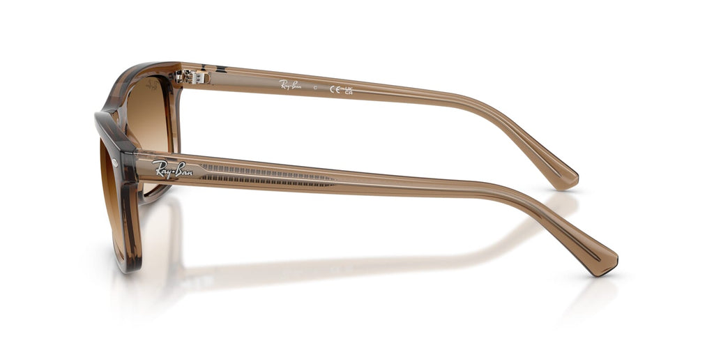 Ray-Ban RB 2226 664051