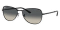 Ray-Ban RB 3733 002/71