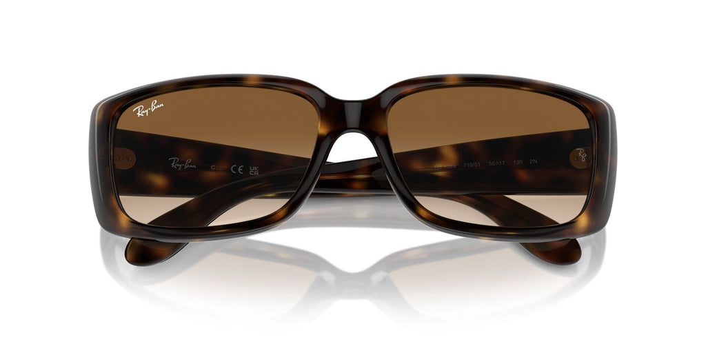 Ray-Ban RB 4389 710/51 - As Seen On Isabella Rossellini