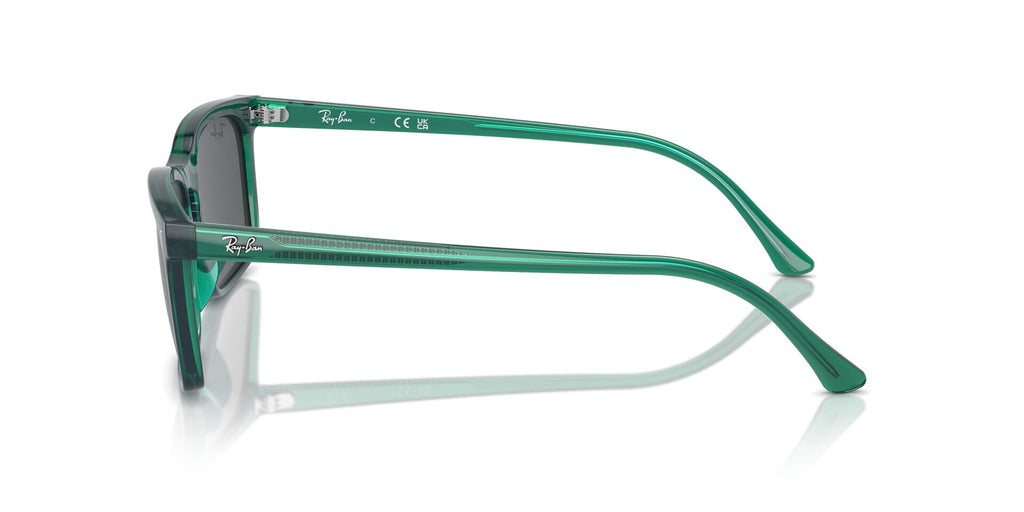 Ray-Ban RB 4435 6615/B1