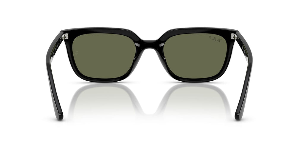 Ray-Ban RB 4439D 901/9A Polarised