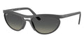 Ray-Ban RB 4453 6017/11