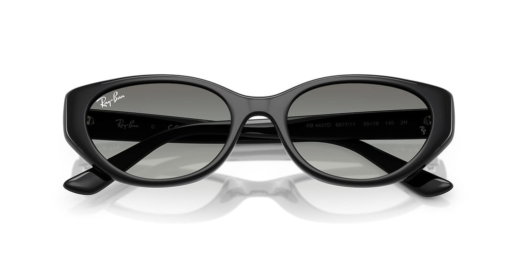 Ray-Ban RB 4457D 6677/11