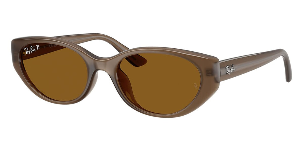 Ray-Ban RB 4457D 6779/83 Polarised