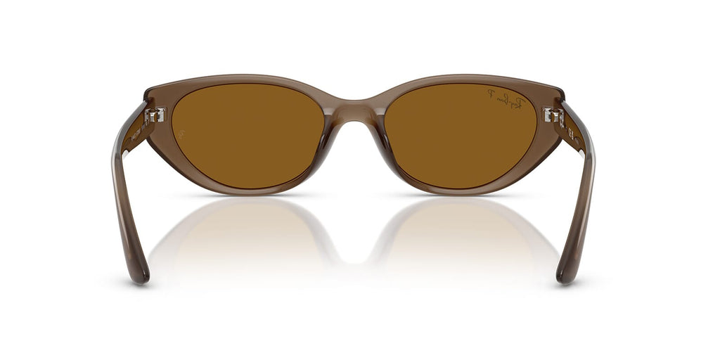 Ray-Ban RB 4457D 6779/83 Polarised