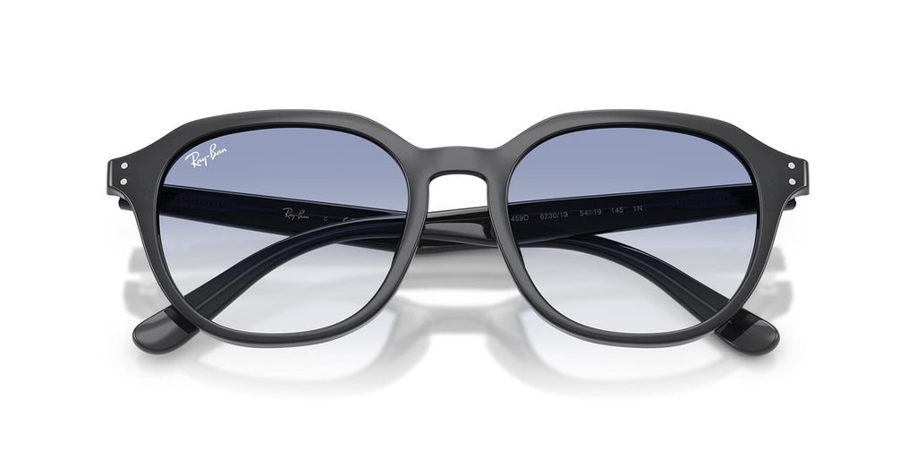 Ray-Ban RB 4459D 6230/19
