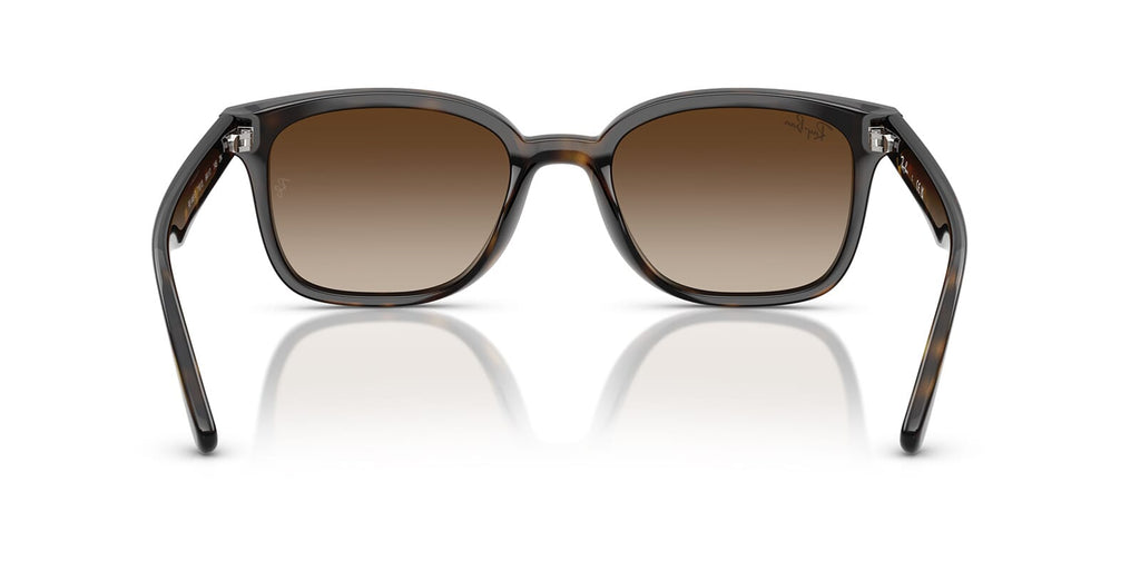 Ray-Ban RB 4461D 710/13