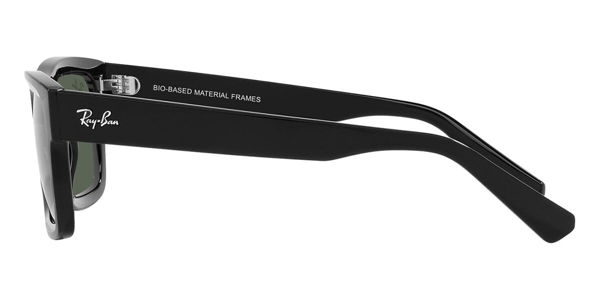 Ray-Ban Warren RB 4396 6677/71