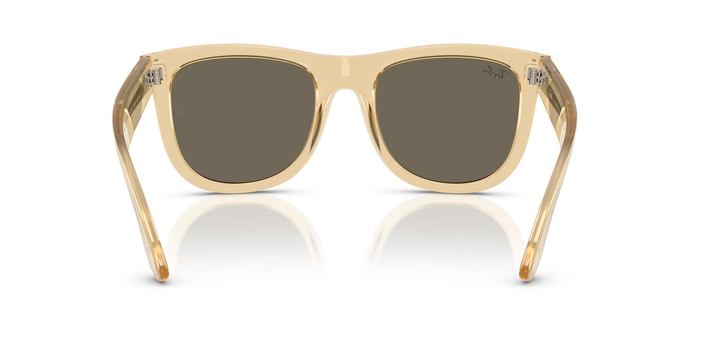 Ray-Ban Wayfarer Reverse RB R0502S 6821/5A
