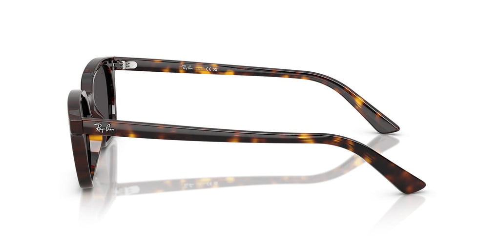 Ray-Ban Zaya RB 4456 1359/87 - As Seen On Aron Piper